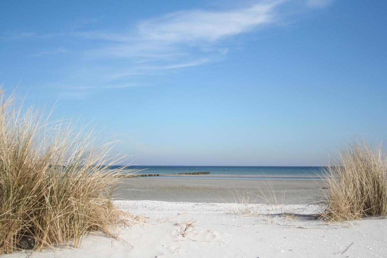 Villa Strandblick Zingst Zewnętrze zdjęcie